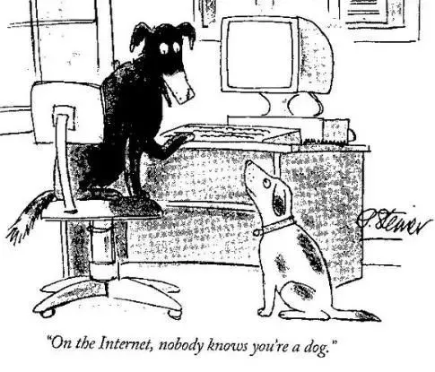 喬碧蘿復出直播騙禮物，結果又被網友逮了…