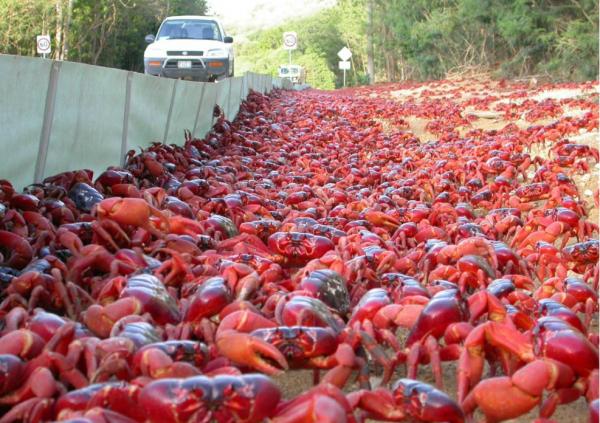 28個令人震撼的自然奇景,竟然是真實存在的 28個令人震撼的自然奇景,竟然是真實存在的