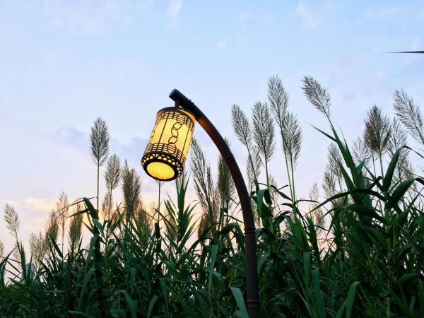 三垟溼地落日夕陽