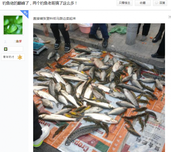 釣魚人在菜市場賣魚？老釣友：這魚獲看起來不像釣的