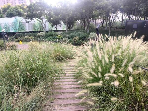 “咔咔咔”，虹口近期都被拍照聲包圍~這些地方超美