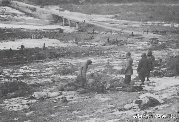 北極熊團副營長放生記:一名志願軍拿槍指著他,怒視許久轉身而去 北極熊團副營長放生記:一名志願軍拿槍指著他,怒視許久轉身而去