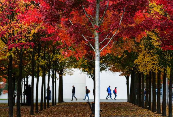 德國柏林秋葉爛漫