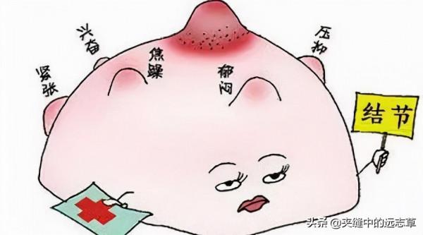 結節？送你十味中藥，化痰瘀，祛血瘀，行氣鬱，不來了解下嗎？