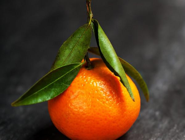 高血糖患者不妨常吃6種水果，或對身體有益