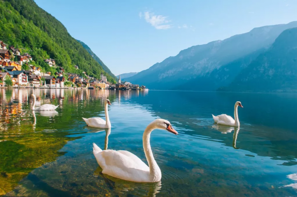 又一個天堂小鎮將變成“限量版美景” 又一個天堂小鎮將變成“限量版美景”