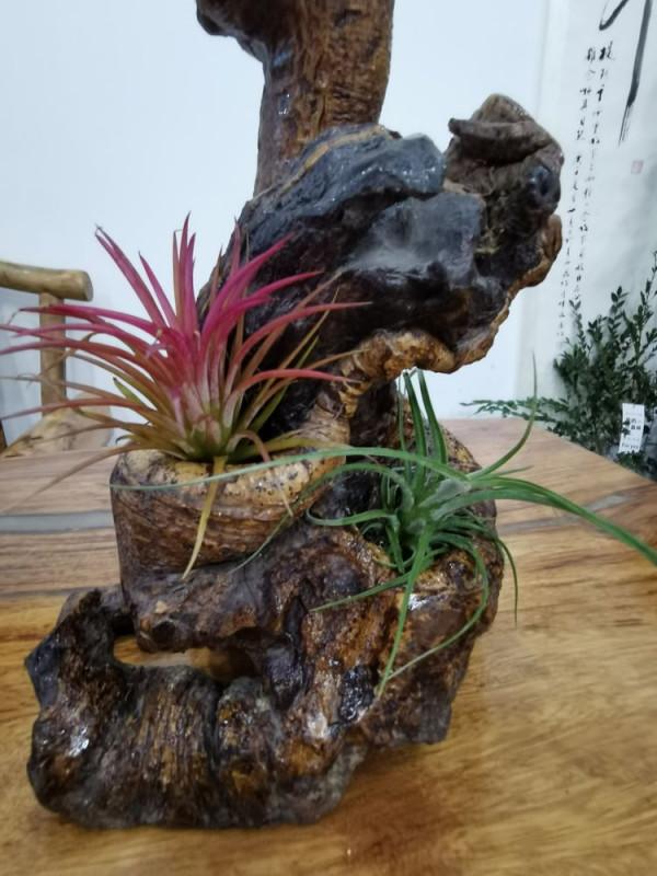 快春節了，來一波超讚木頭風園藝佳作欣賞