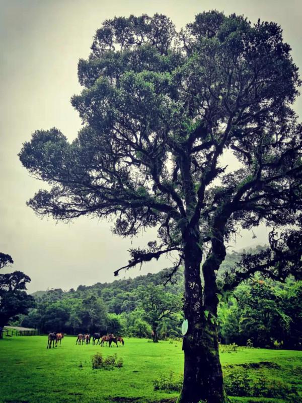 難得的人間仙境，美麗的村莊，幸運被我記錄下來了