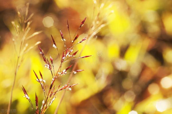 54歲阿姨傾訴：退休的日子能否過得舒暢清閒，就看這四點是否擁有