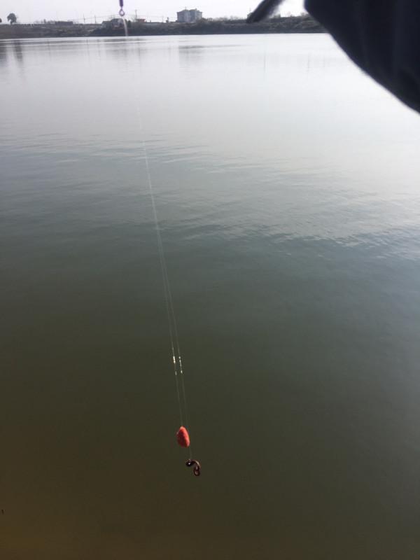 降溫後和降溫當天漁獲差距是真大