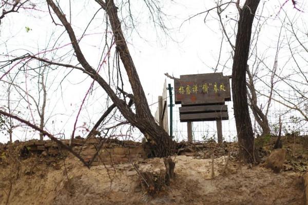 每年有80萬太極拳愛好者來此朝聖！河南這小村莊究竟有何神奇？