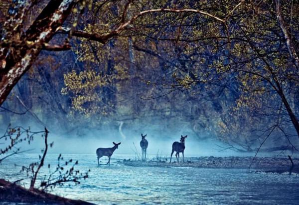 有什麼樣的思想，就會成為什麼樣的人