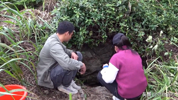 廣西夫妻倆雜草叢中野釣,小洞裡藏著米級大鯰魚,網友:專屬黑坑 廣西夫妻倆雜草叢中野釣,小洞裡藏著米級大鯰魚,網友:專屬黑坑