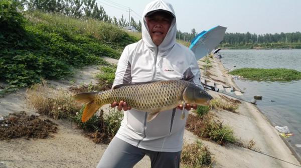 釣友自述:一時衝動買了8.1米大物竿,現在卻後悔的不要不要的 釣友自述:一時衝動買了8.1米大物竿,現在卻後悔的不要不要的