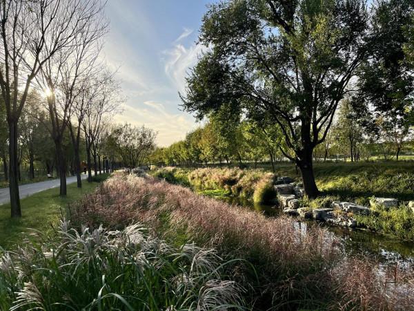 iPhone 13拍照實戰體驗：色調真實，想要高飽和度也沒問題