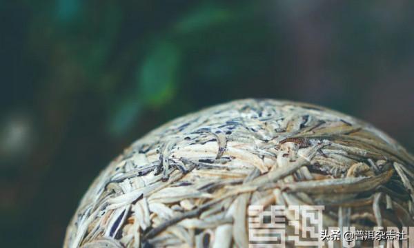 七彩的雲南,有一抹“白”丨聊聊兩種雲南白茶 七彩的雲南,有一抹“白”丨聊聊兩種雲南白茶
