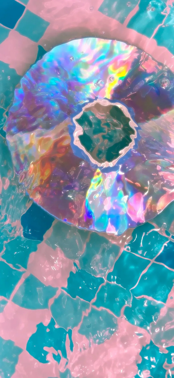 桌布：今天的桌布很好看