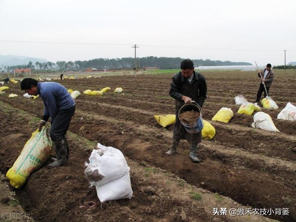 哪些肥料混用後容易&OpenCurlyDoubleQuote;起衝突&rdquo;，哪些肥料混用後能做&OpenCurlyDoubleQuote;好朋友&rdquo;？