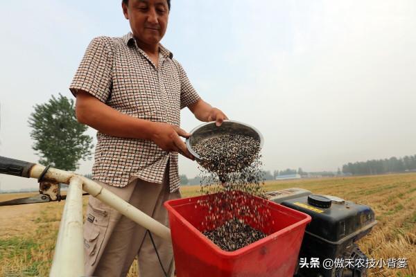 哪些肥料混用後容易&OpenCurlyDoubleQuote;起衝突&rdquo;，哪些肥料混用後能做&OpenCurlyDoubleQuote;好朋友&rdquo;？