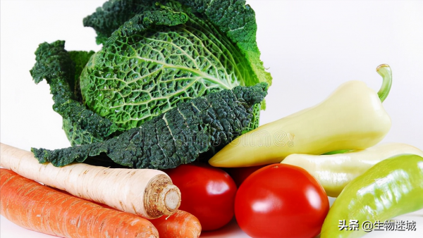 能夠“逆天改命”的基因剪刀——修改生命天書 能夠“逆天改命”的基因剪刀——修改生命天書