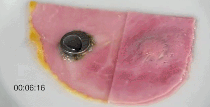 英國2歲男嬰誤吞紐扣電池，心臟被燒傷去世！小電池為何這麼毒？