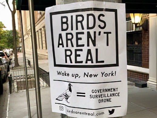 “鳥不是真的”?美國Z世代的新運動是陰謀論嗎 “鳥不是真的”?美國Z世代的新運動是陰謀論嗎