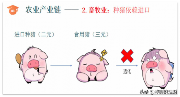 農業晶片——小種子迎來大風口 農業晶片——小種子迎來大風口