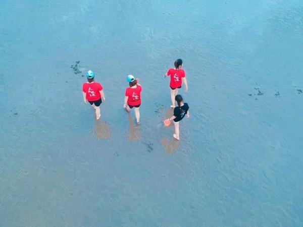 大美臨港丨聽人鯨傳奇、看海天一色、望璀璨星空……這樣的生態寶地，你嚮往嗎？