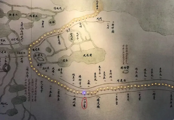 紅蘿蔔、白蘿蔔不如它!一次教3個菜,誰煮都好吃 紅蘿蔔、白蘿蔔不如它!一次教3個菜,誰煮都好吃