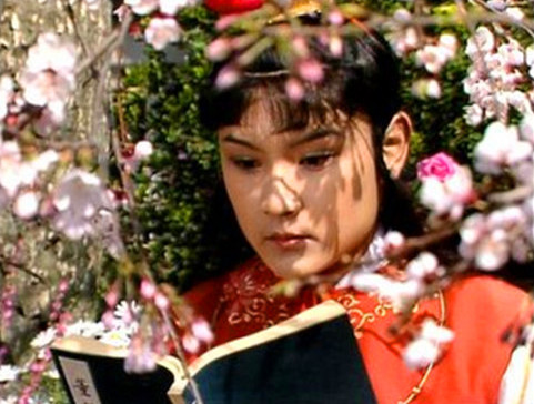 《紅樓夢》:薛寶釵真的嫁給賈雨村了嗎? 《紅樓夢》:薛寶釵真的嫁給賈雨村了嗎?