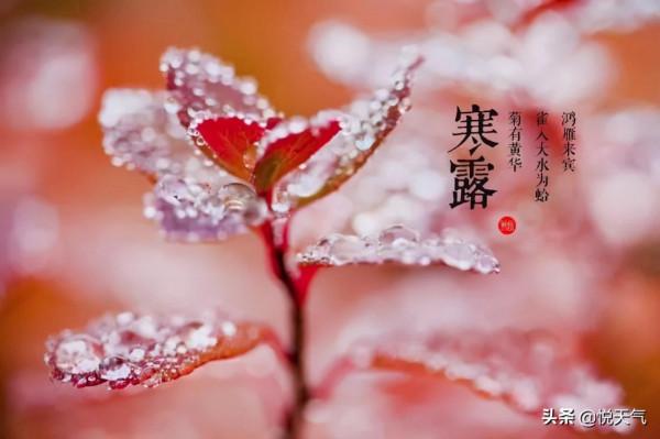 寒露時節養生最佳水果