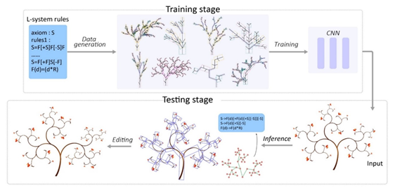 重構三維植被表型,計算呈現自然之美丨智言智語 重構三維植被表型,計算呈現自然之美丨智言智語