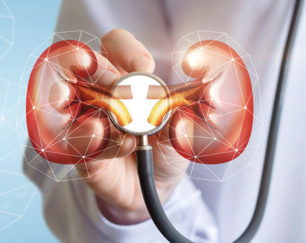 腎病怎麼避免成為尿毒症？做好2個指標檢測，早發現早治療很重要