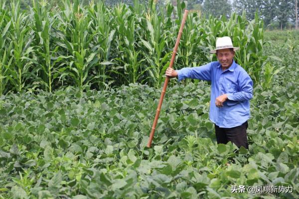 特大好訊息！&OpenCurlyDoubleQuote;農村5禁&rdquo;放寬，早該這樣