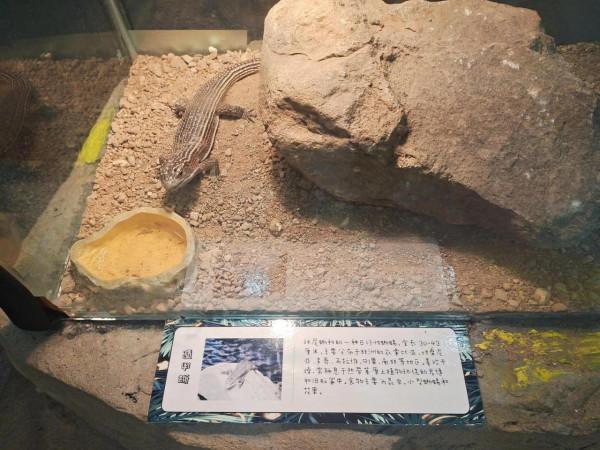 內蒙古科技館一日遊