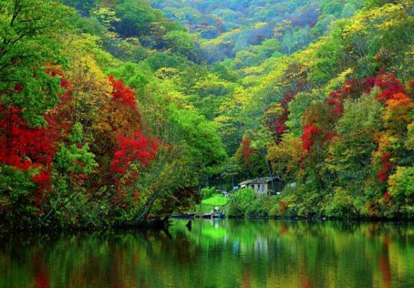 省內這幾條自駕路線,承包了最撩人的秋色!週末出發吧 省內這幾條自駕路線,承包了最撩人的秋色!週末出發吧