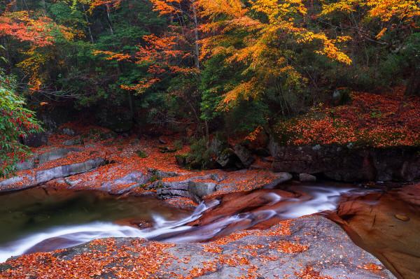 10月這12個顏值高地,已補好了妝,將向世人“賣弄”最美一面 10月這12個顏值高地,已補好了妝,將向世人“賣弄”最美一面