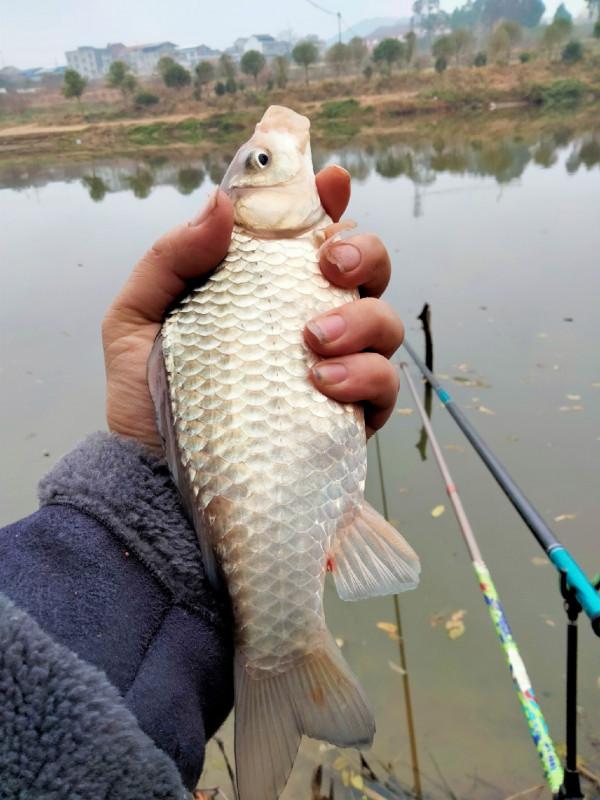 垂釣之旅——日行千里，只為漁你相見