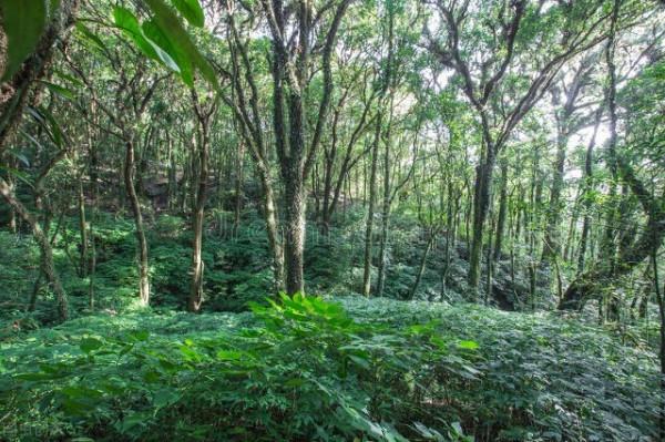 你總會看見幸福 你總會看見幸福