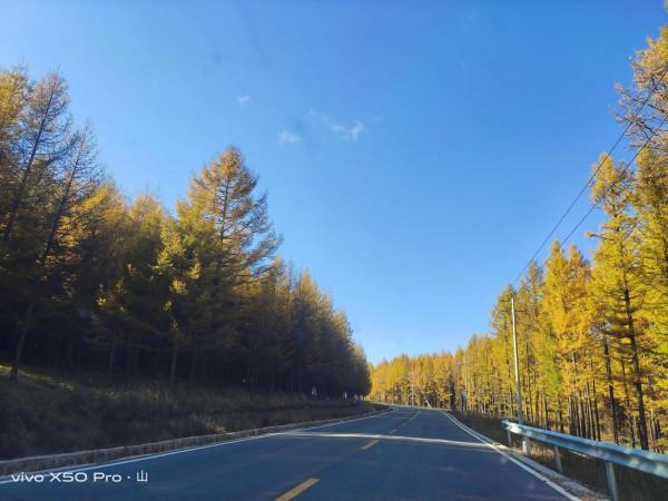 一路走來一路拍，只是想把美景分享給朋友們