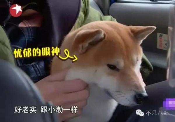 黃渤和女經紀人這個碰胳膊的動作，嚇壞大家了......