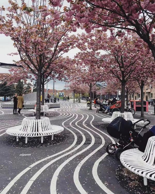 全球十大社群讓生活酷起來