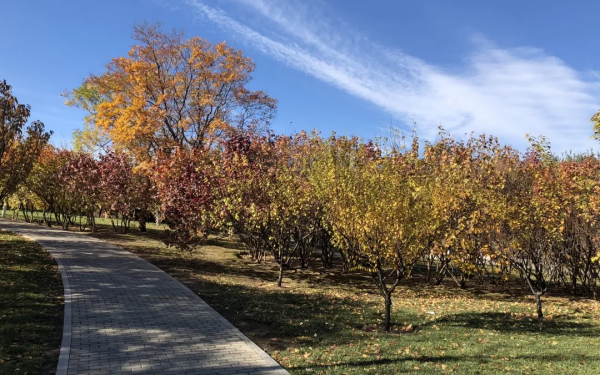 朝陽遊園推薦：北小河公園