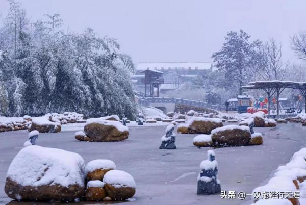 花鄉&bull;雪｜能飲一杯無？