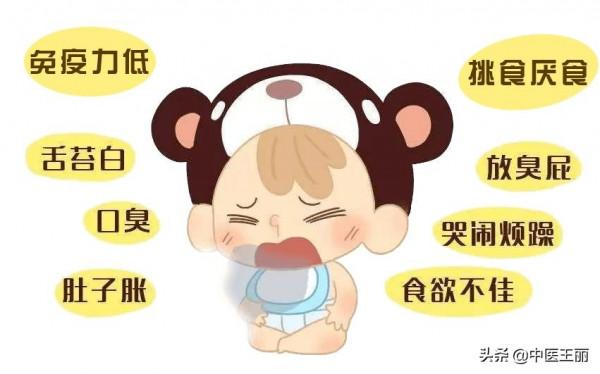 脾胃差、易生病，簡單6味中藥，辛甘化陽，酸甘化陰，溫中補虛