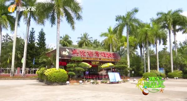 高鐵0.5h、物價只有一半，我願稱她為三亞最強備胎