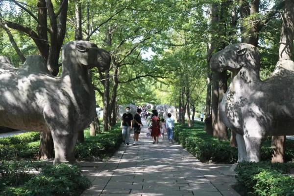 趣聞：明孝陵的獅子為什麼是豬鼻子？