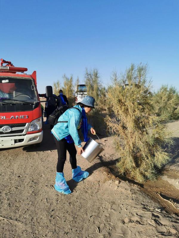 怪樹林,沙漠中聳立的倔強 怪樹林,沙漠中聳立的倔強