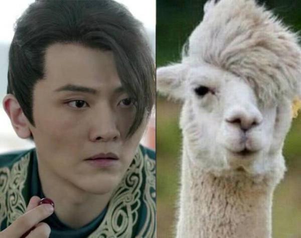 明星古裝尷尬史：頭頂風扇、餃子都算好的，有些太誇張真忍不了