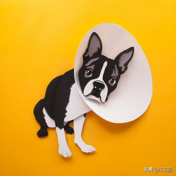 狗狗帶她走上紙雕狗狗之路